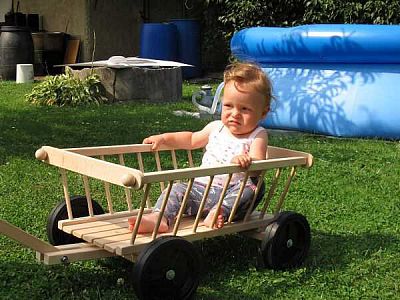 Dřevěný vozík pro děti – žebřiňák velký